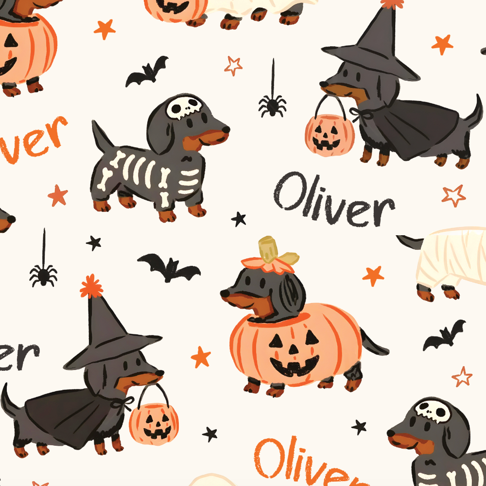 Orange and Black Dachshund