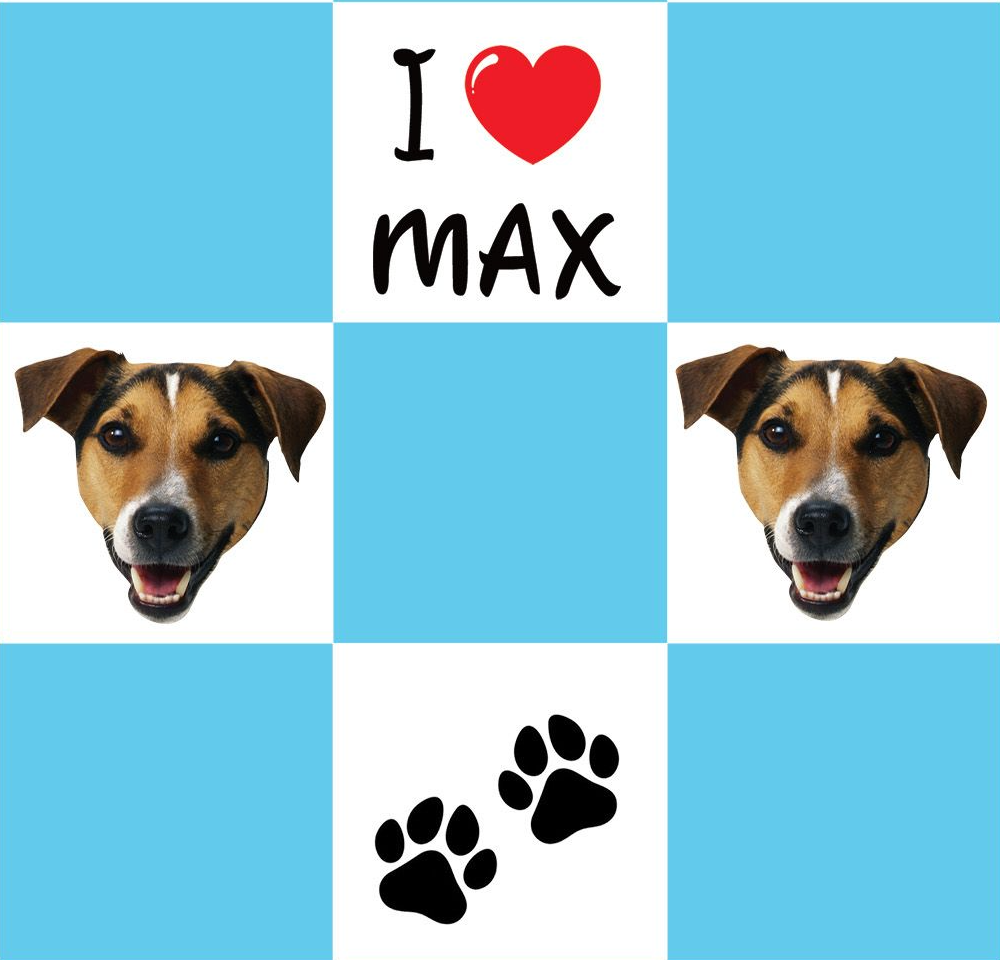 Custom Photo I Love My Best Friend Dog/ Cat