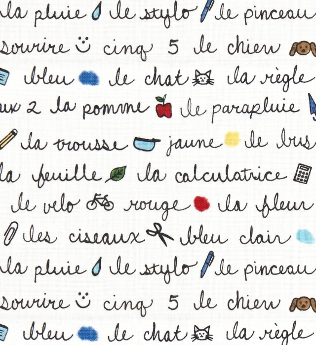 French Classroom Notes