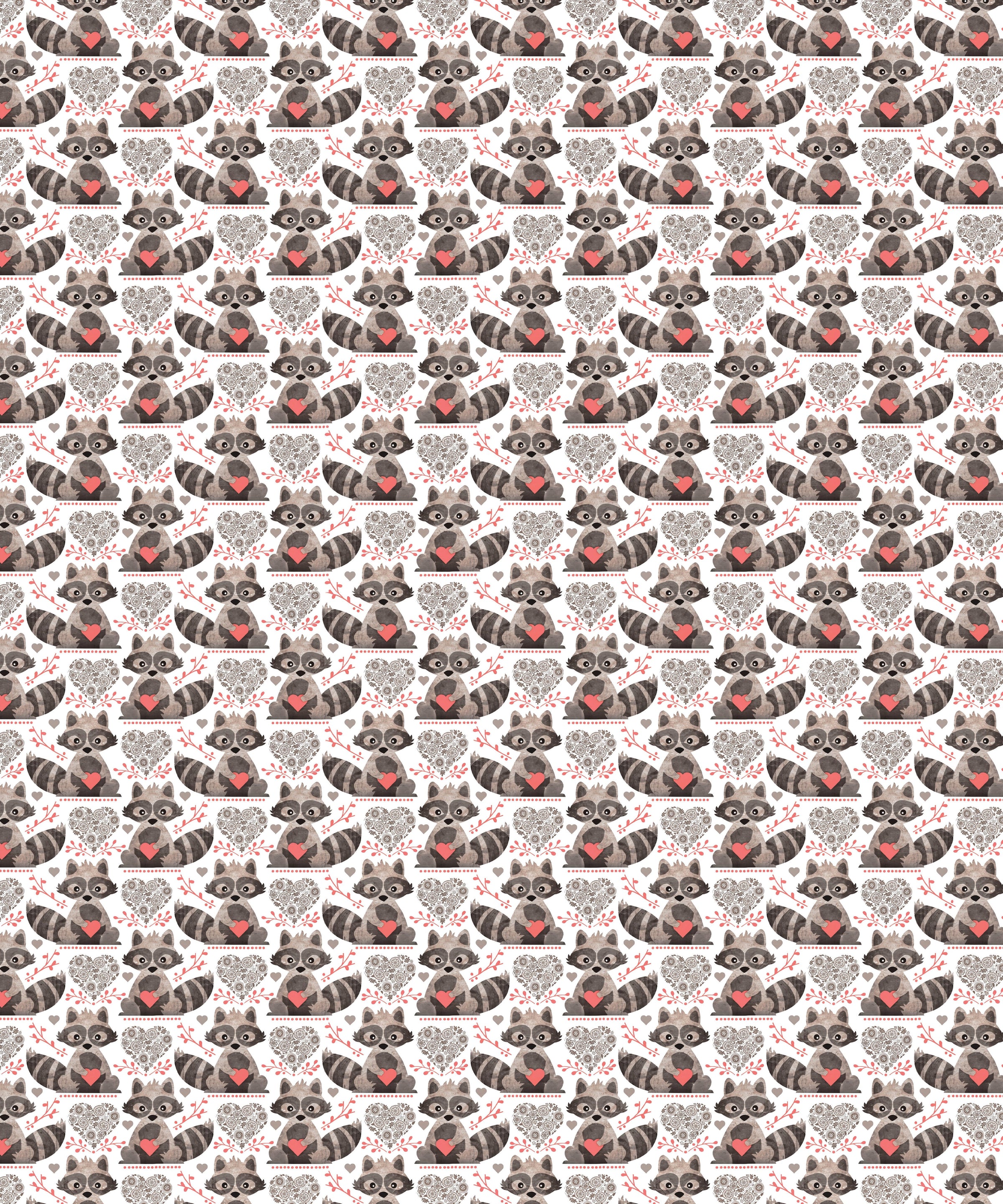 Raccoon Valentine