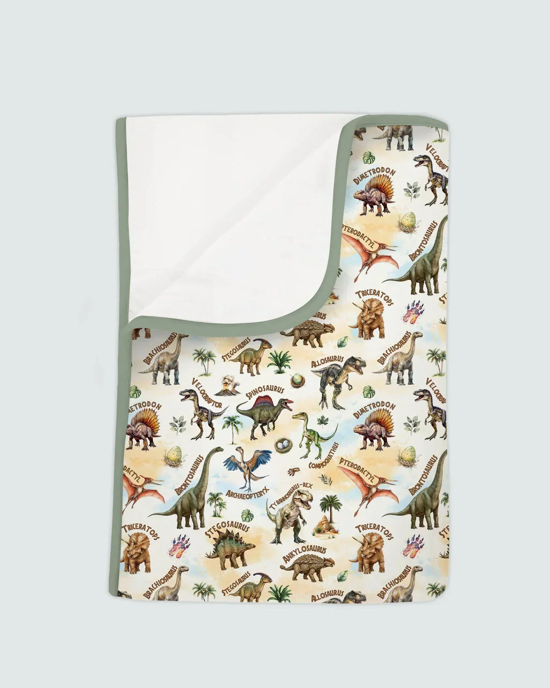 Dino Discovery Bamboo Blanket