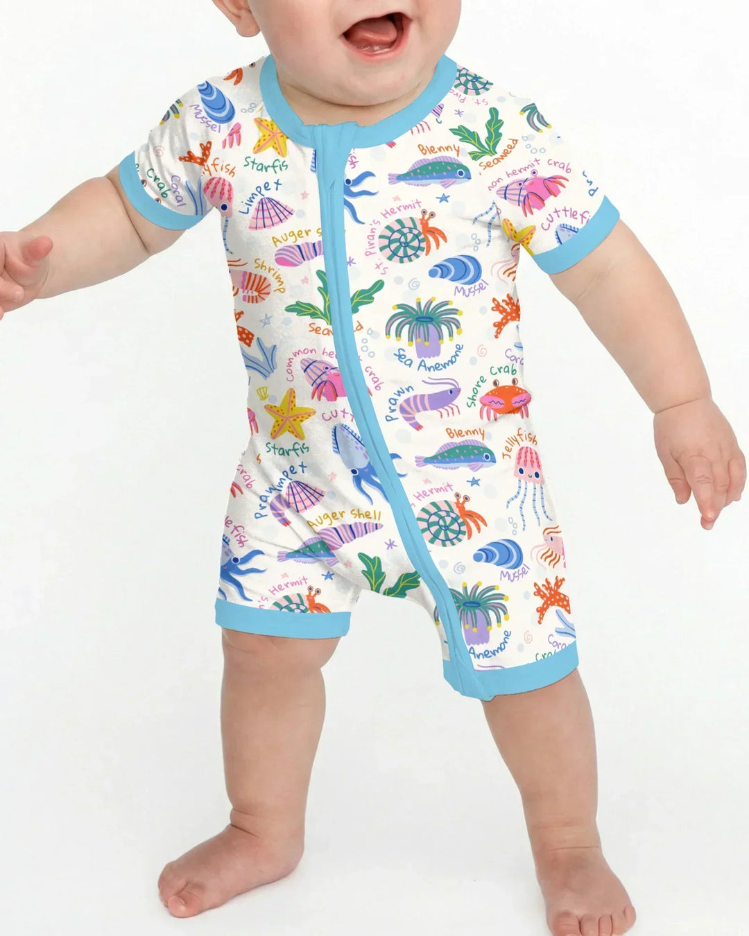 Vorlage Shorty Zippy