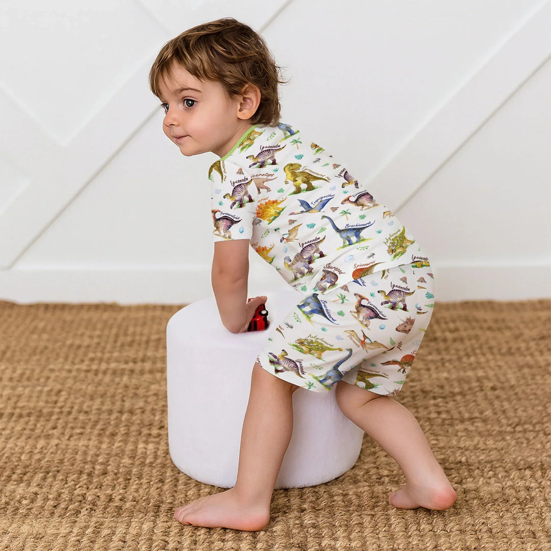 Dino Dreamland Bamboo Two Piece Short Sleeve Shorts Pajama Set