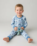 Little Turtles Family Matching Bamboo Two Piece Long Sleeve Pajama Set