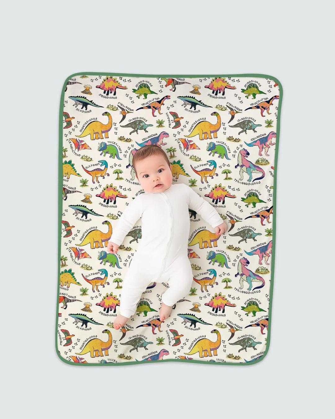 All The Dino Types Bamboo Blanket