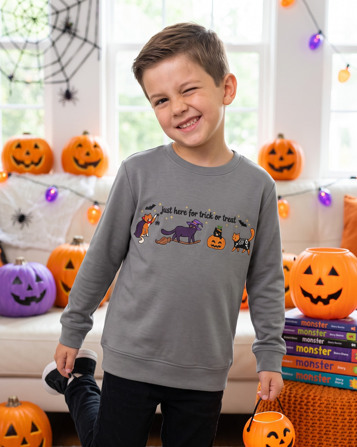 Just Here for Trick or Treat Embroidered Bamboo Crewneck Sweatshirt