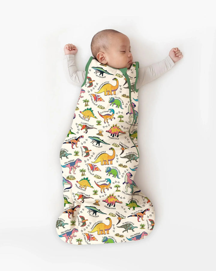 All The Dino Types Bamboo Sleep Bag