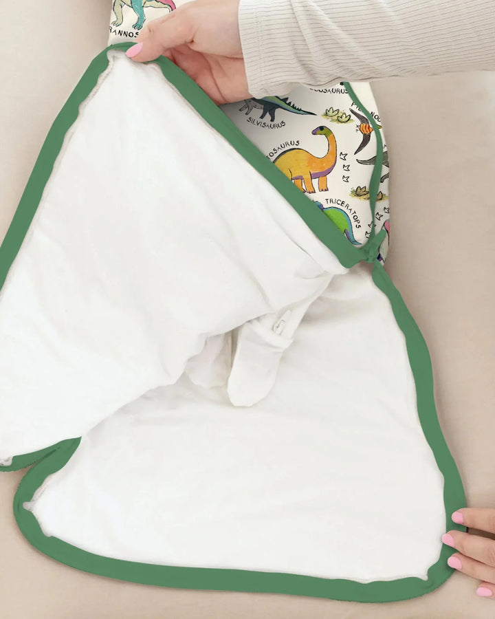 All The Dino Types Bamboo Sleep Bag