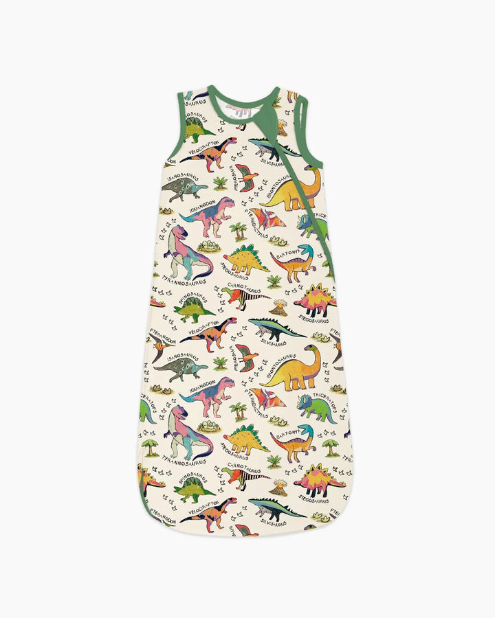 All The Dino Types Bamboo Sleep Bag