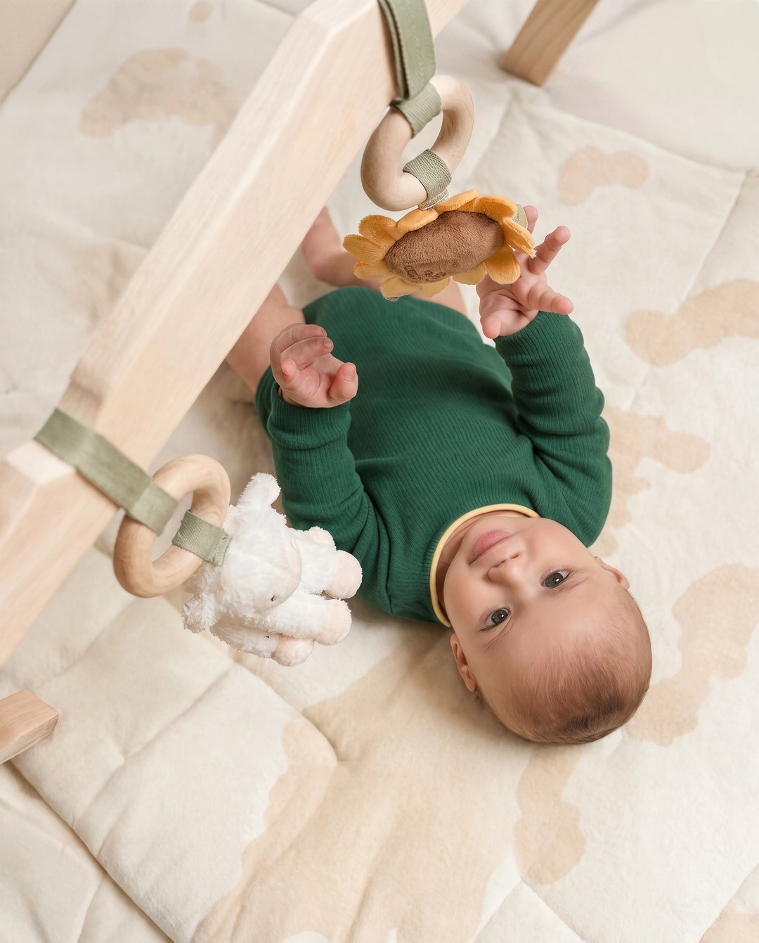 Little Farm Wooden Baby Gym