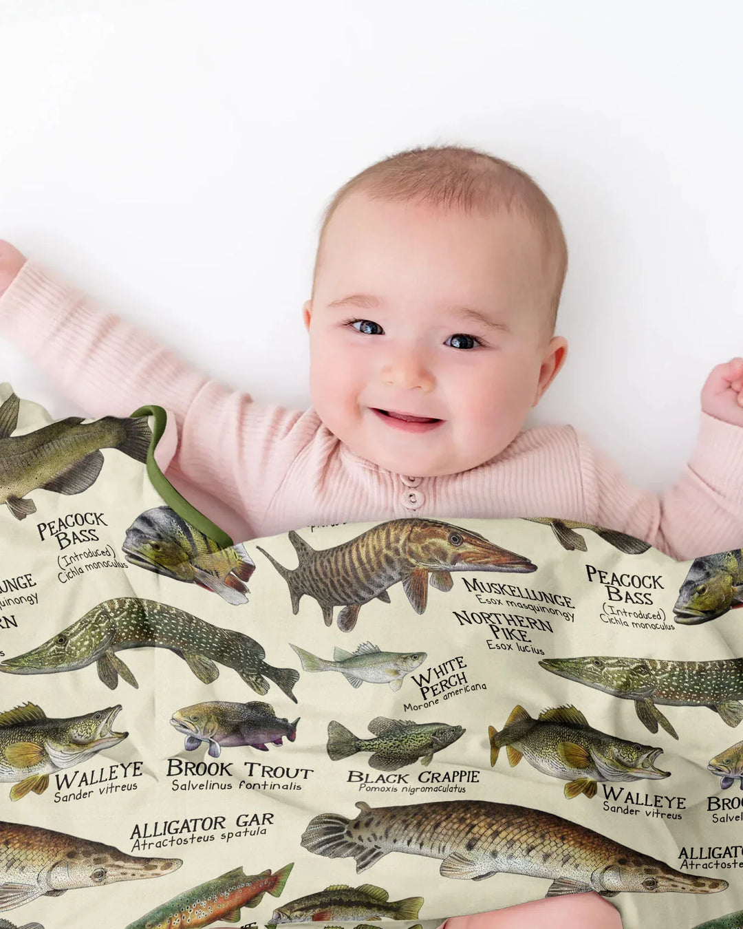 Fish Of America Bamboo Blanket