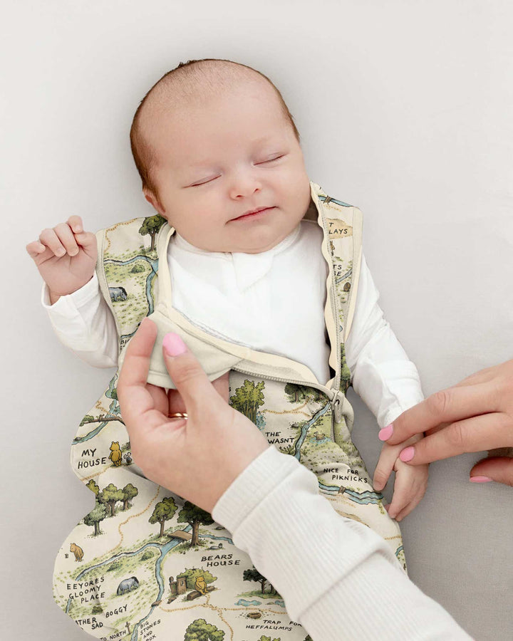Classic Bear Maps Bamboo Sleep Bag