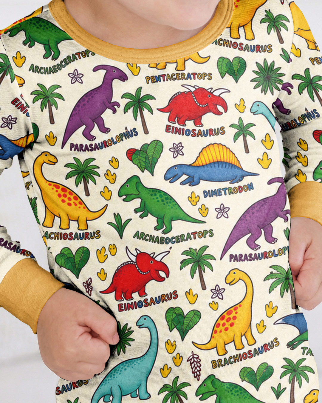 Full Dinosaur Bamboo Two Piece Long Sleeve Pajama Set
