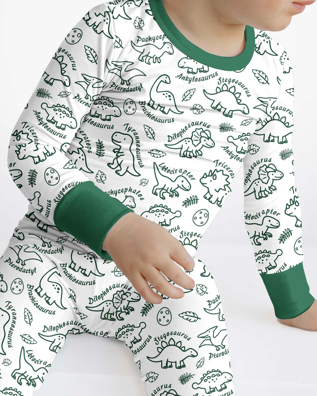 Dinosaur Park Bamboo Two Piece Long Sleeve Pajama Set