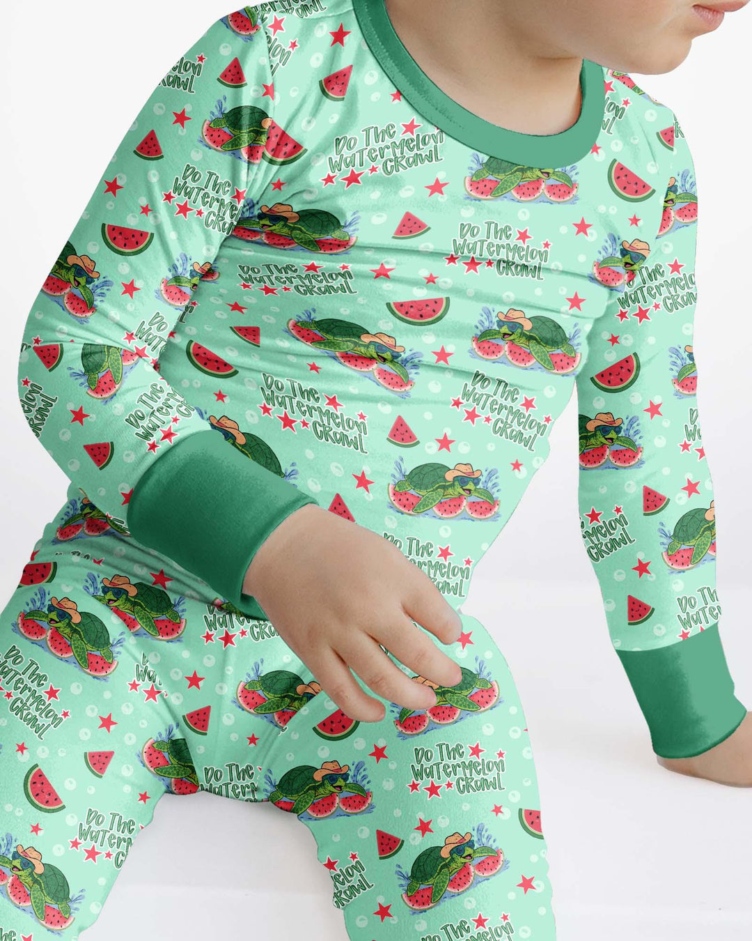 Watermelon Turtle Family Matching Bamboo Two Piece Long Sleeve Pajama Set