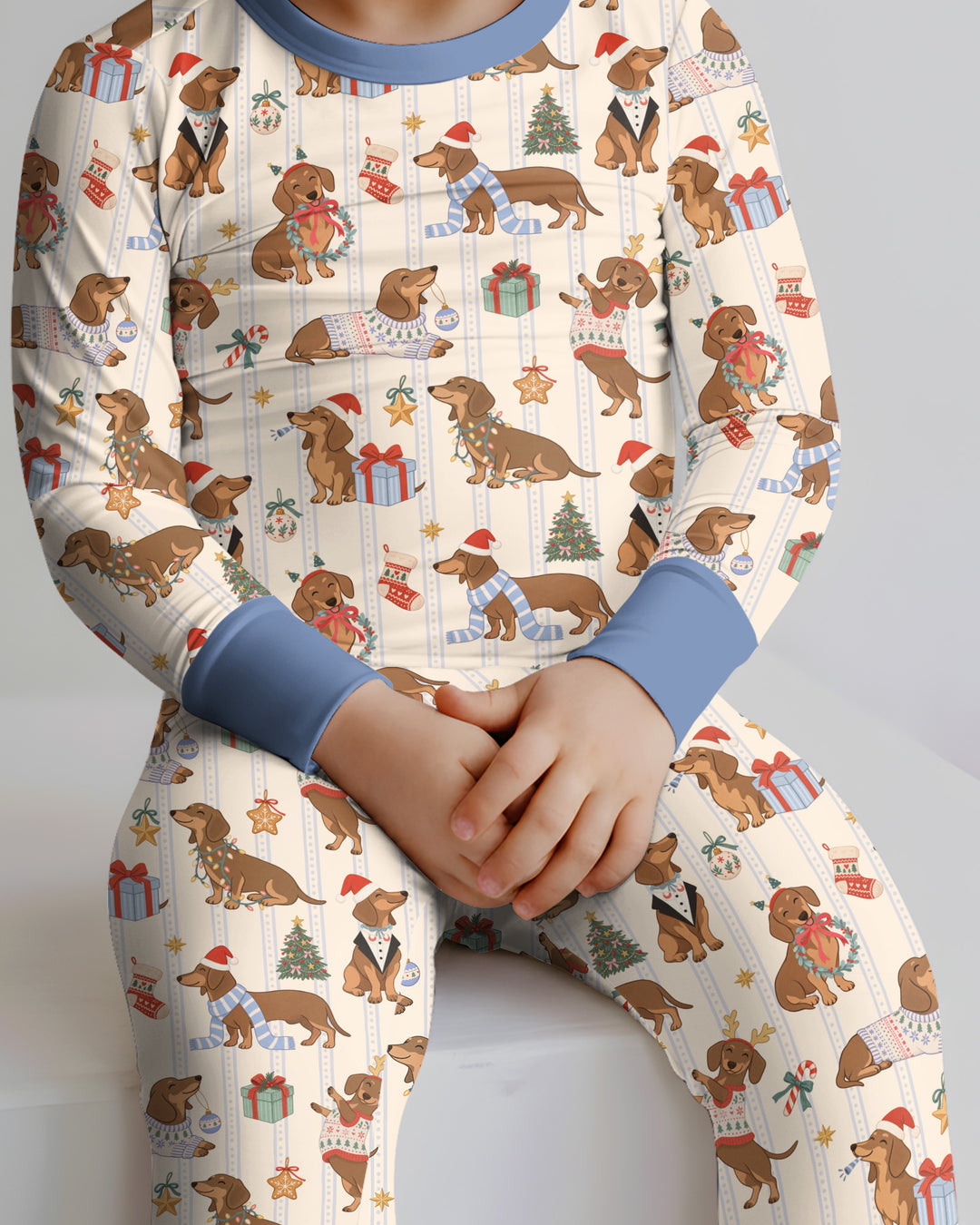 Christmas Dachshund Cute Vintage Bamboo Two Piece Long Sleeve Pajama Set