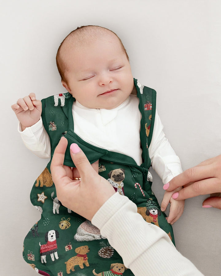 Winter Wonderland Bow Wow Bamboo Sleep Bag