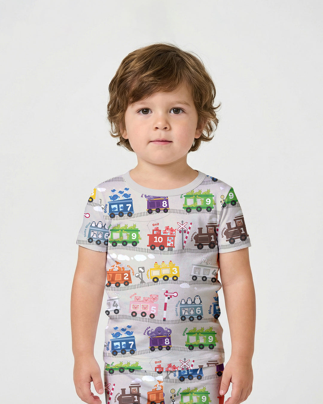 Color Train Bamboo Two Piece Short Sleeve Shorts Pajama Set
