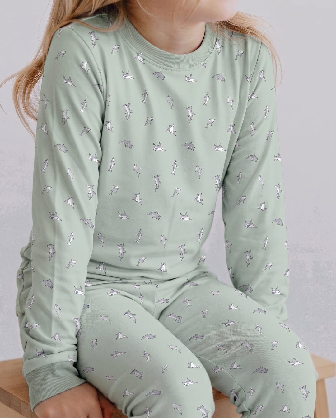 Seafoam Dolphin Dance Bamboo Two Piece Long Sleeve Pajama Set
